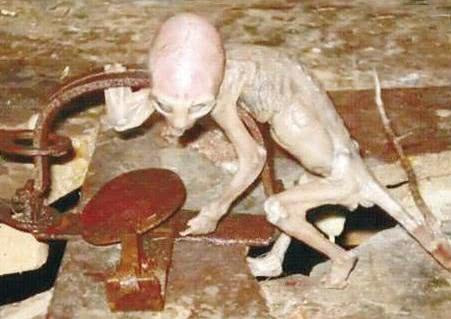 这十个世界未解之谜,愁坏了各国的科学家,至今无人能解!-第5张图片-大千世界