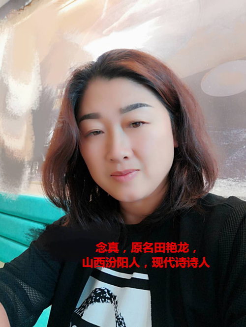 诗书雅集，岁月畅想 现代诗雅集