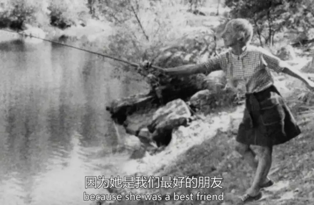 票房超百亿,他的电影总能让人长跪不起