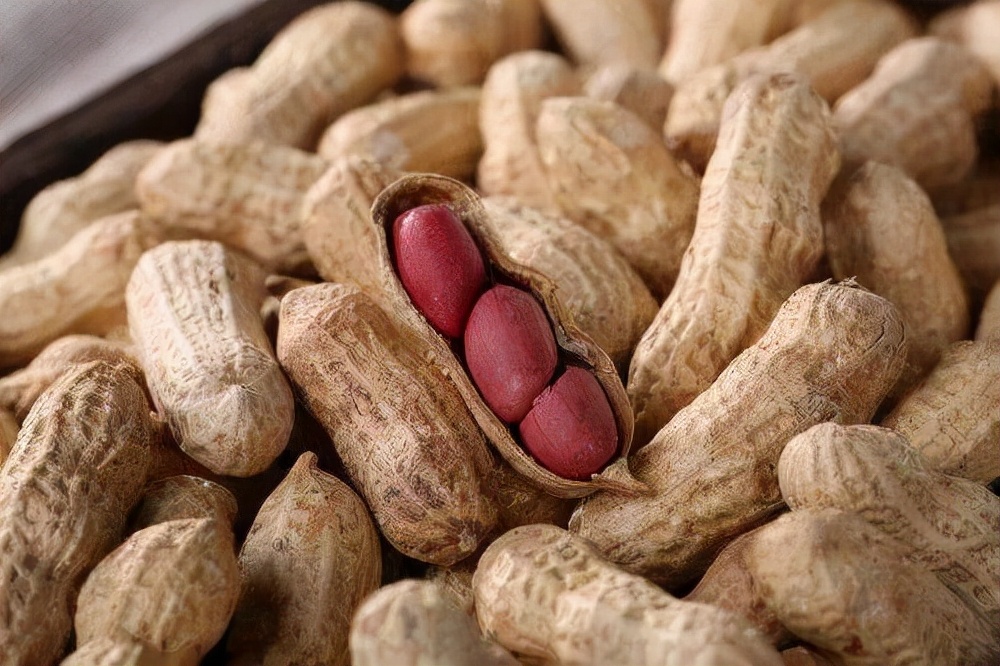 Sunflower seeds and peanuts, one is easy to gain weight, the other