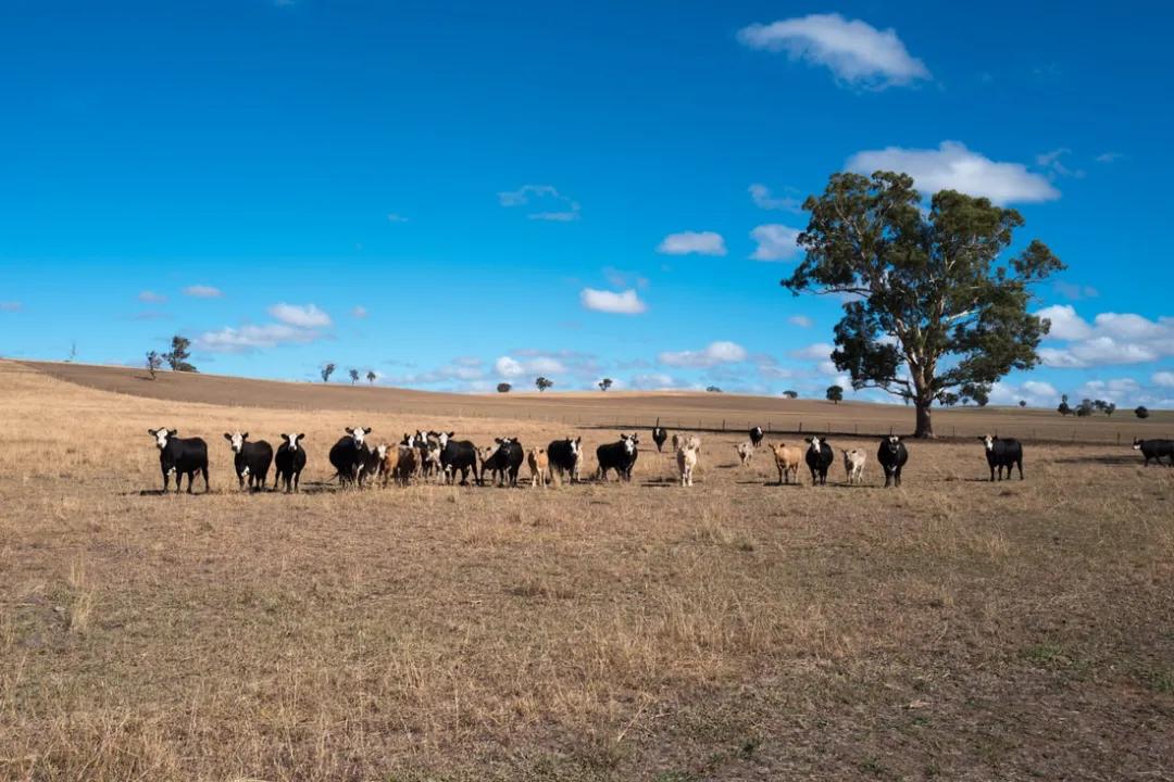64岁老太不结婚，卖了豪宅住进8㎡蜗居，却过上