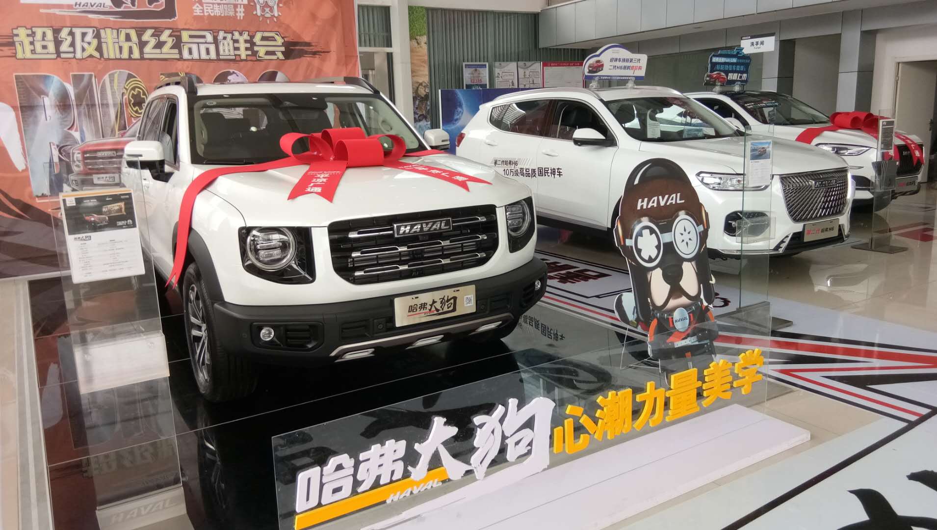 潮流不止，“大狗”突袭