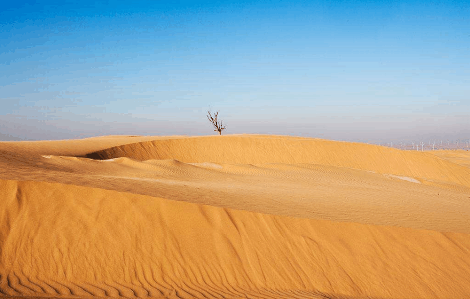全球變暖！假如溫度上升6攝氏度 人類將會從地球上消失