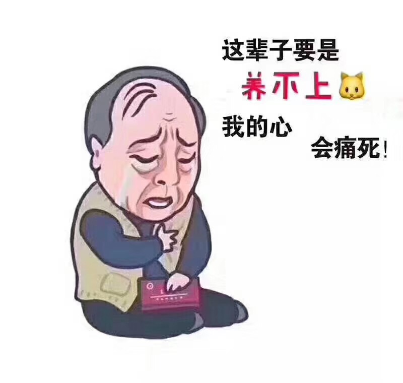 家人反对养猫，磨破嘴皮子也说服不了，那你更要直接行动