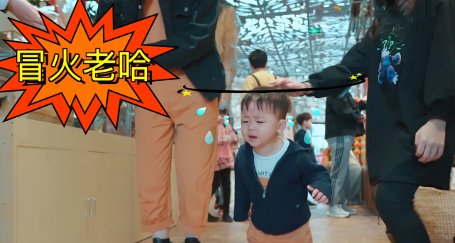 張晉曬一家五口幸福出遊，蔡少芬再現坑娃日常，兒子被嚇到大哭