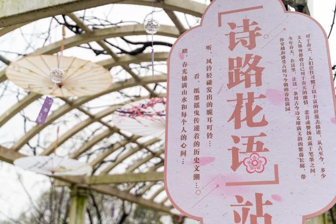 领略春日江南独道风情 苏州上方山百花节如约而至