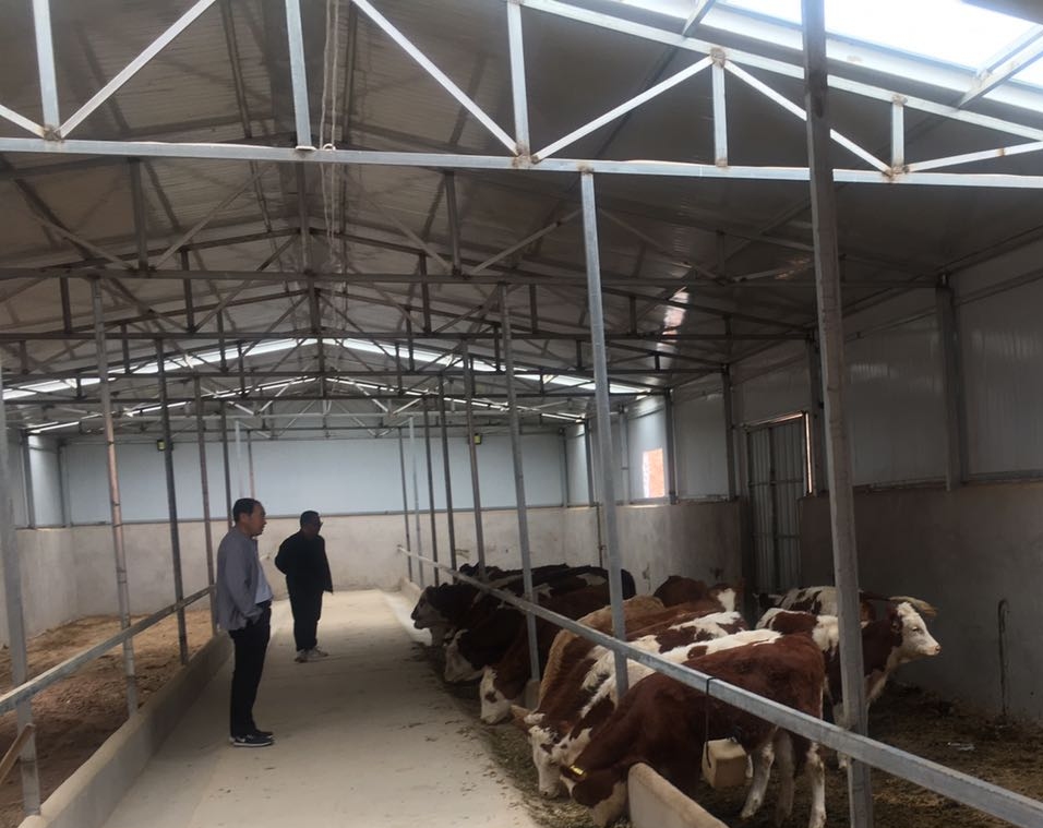 ��ʵ�����ߣ�������ˮ�����ݴ崴����ֳ���ټ����ҵ���÷�չ���������������·��