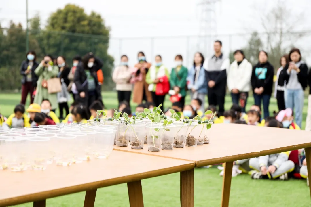 “我们”有一块地这就播种去丨天府新区元音小学劳动实践基地启动