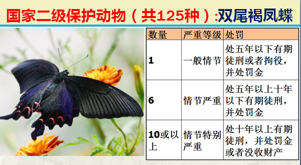 国家最新125类二级野生保护名录，图片及违法对应刑责