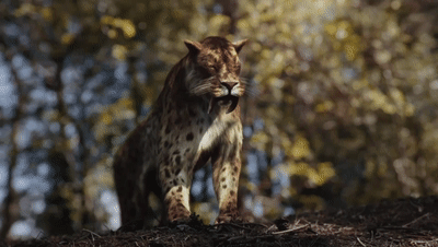 史前時代10大猛獸 霸王龍恐鱷巨齒鯊哪個最強 地球史前巨獸系列 D探索 Mdeditor