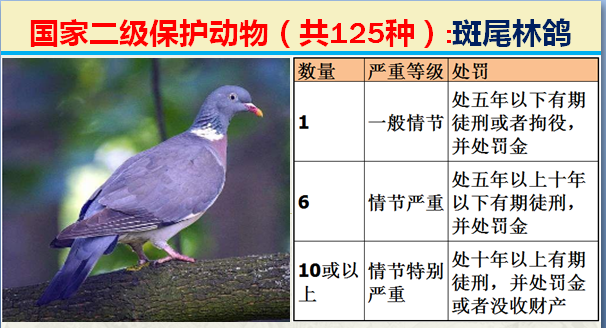 国家最新125类二级野生保护名录，图片及违法对应刑责