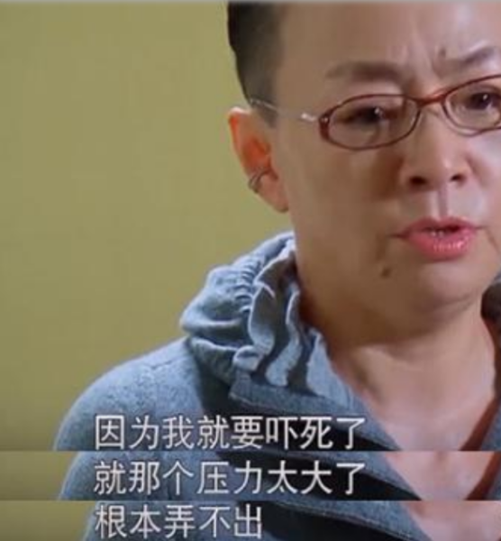 曝董卿周涛春晚有望搭档，两人的合作都能带来