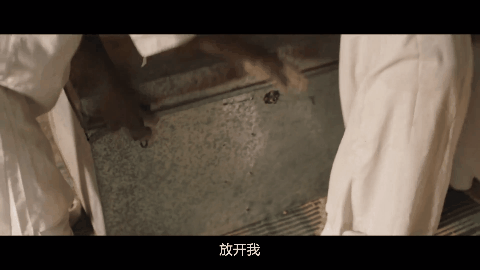 所有人都唱衰，这男孩也不该死