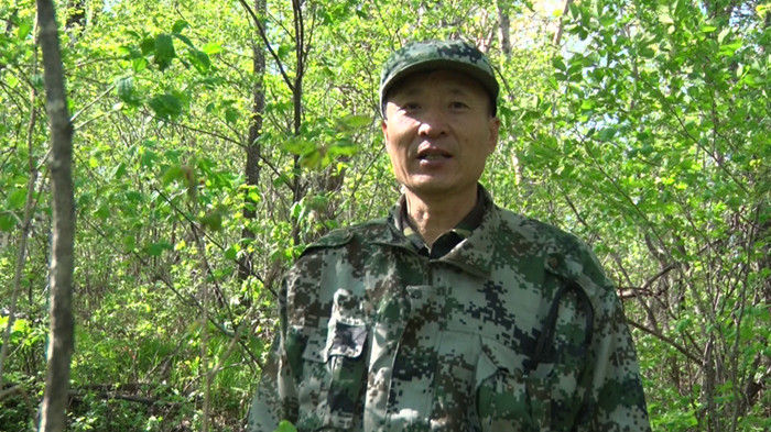 黑龙江双鸭山发现东北抗联六处教室遗址