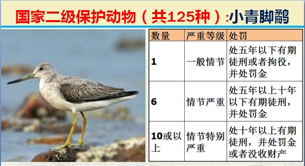 国家最新125类二级野生保护名录，图片及违法对应刑责