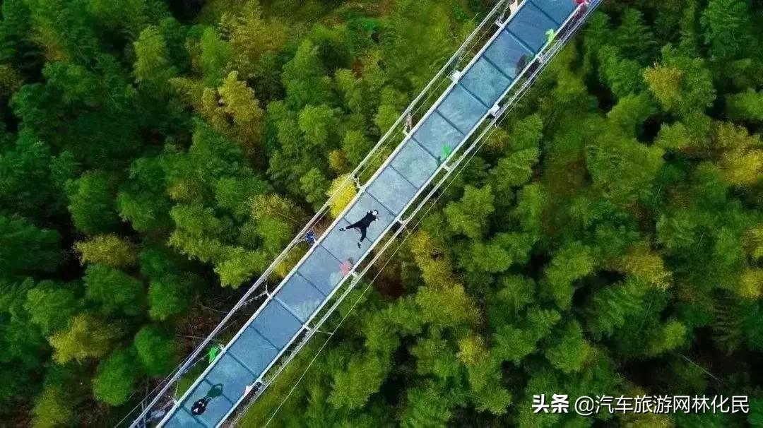 日照高端纯享1日游，海鲜宴，每人赠送鲍鱼1只，99元/人
