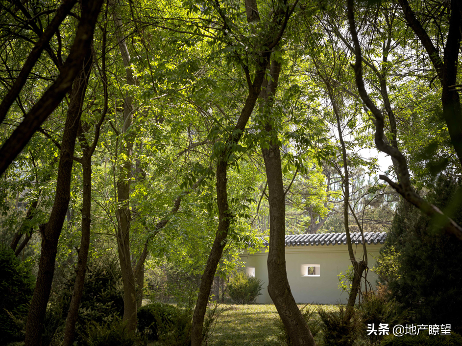 音乐盛事｜亚洲国际爱乐顶级交响乐艺术家献演