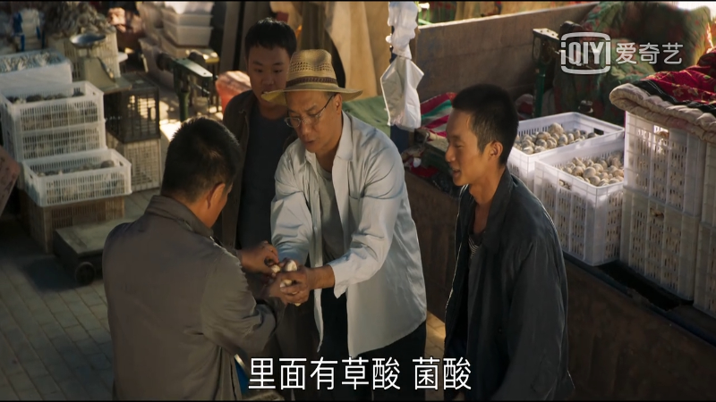 专家|山海情：菌草专家凌一农教授让人感动 角色原型真了不起