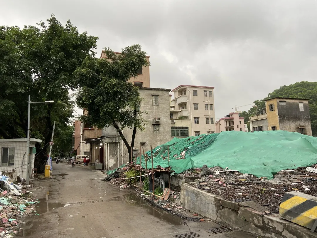 稀缺！老黄埔现全新盘，距地铁鱼珠站仅800米，