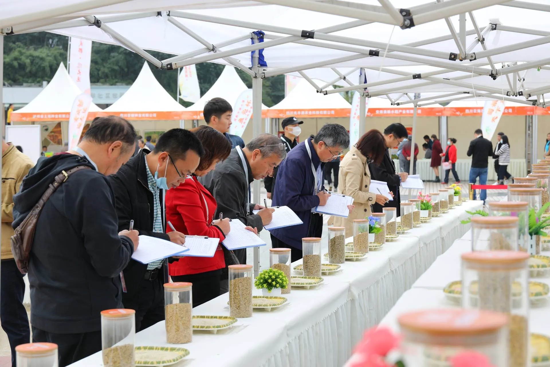 成都市第七届“鱼凫杯”优质稻米品选结果出炉，35个稻米品种获奖