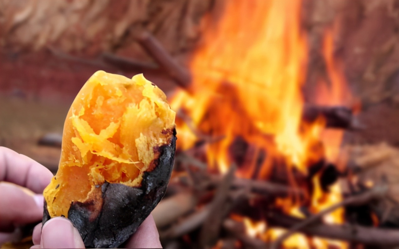 小时候调皮,也不管谁家的红薯了,看到就挖,到小河边洗一洗,放到火堆里