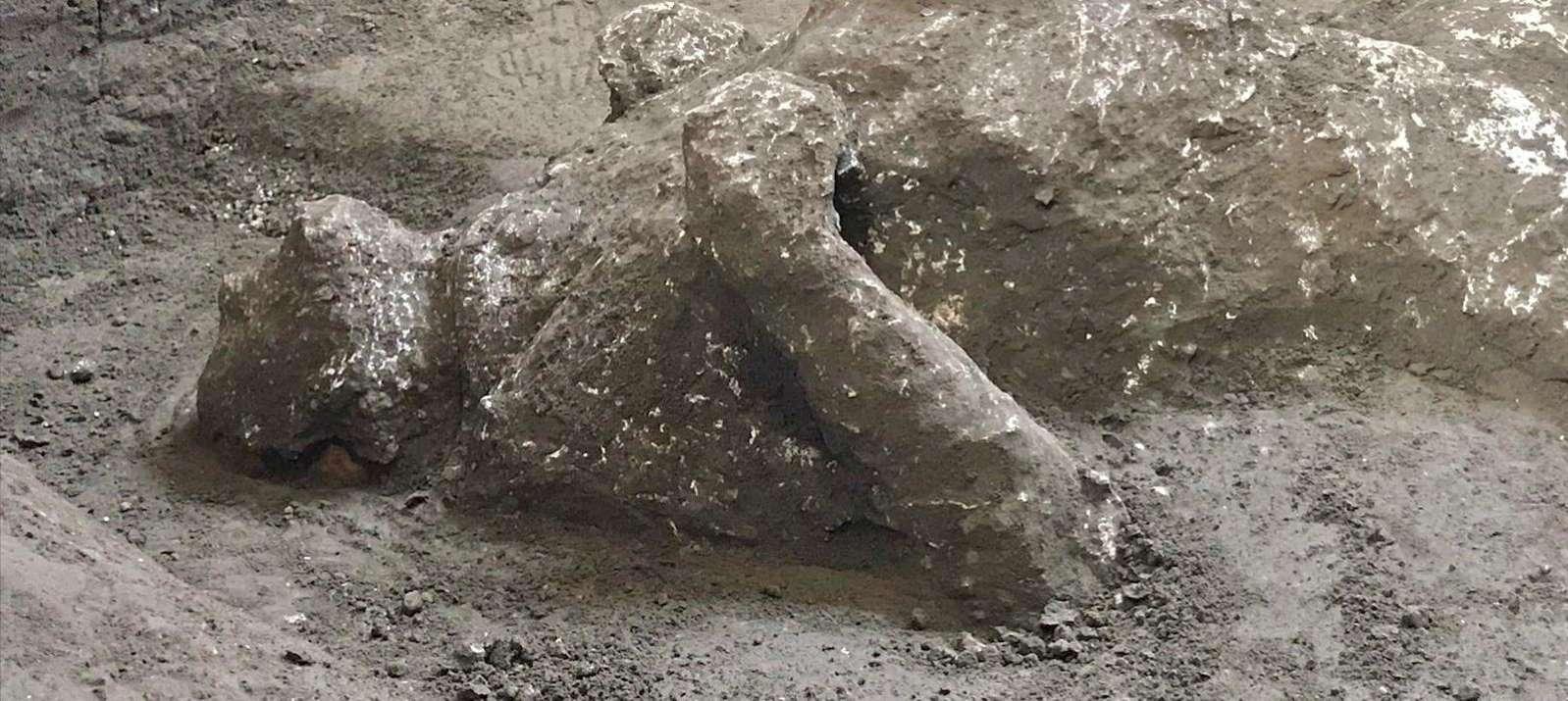 New Discovery In Pompeii: Two Male Fossils, Extremely Well Preserved ...