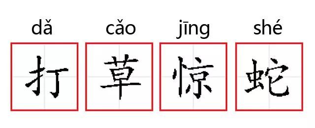 长沙男子网购富贵竹盆栽，30天后竟孵出10多条蛇！它们是毒蛇吗？