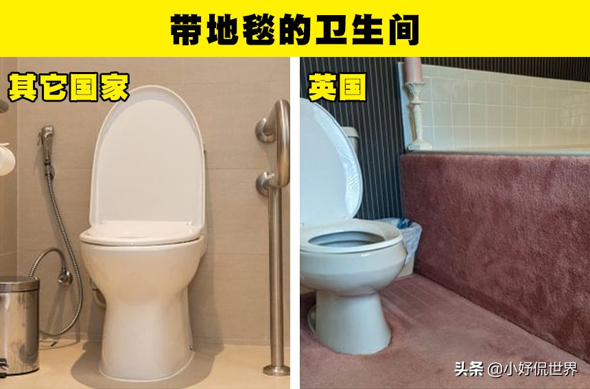 The British toilets are covered with carpets?8 significant differences