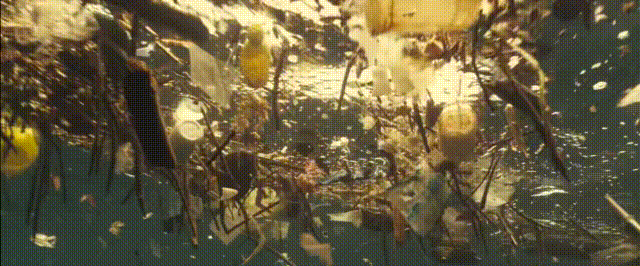 人類是如何把海洋逼上絕路的？