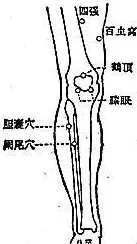 身体小毛病，按压8穴1经，帮助你预防小病变大病-第19张图片-农百科