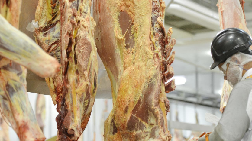 中国暂停4家澳牛肉商出口资格！对于澳大麦70%费