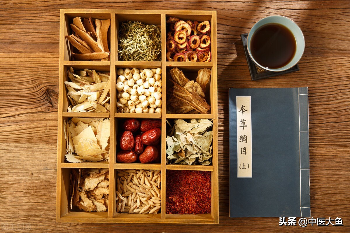 张廷模中药学讲稿 73 补血药：当归 熟地黄 白芍 何首乌