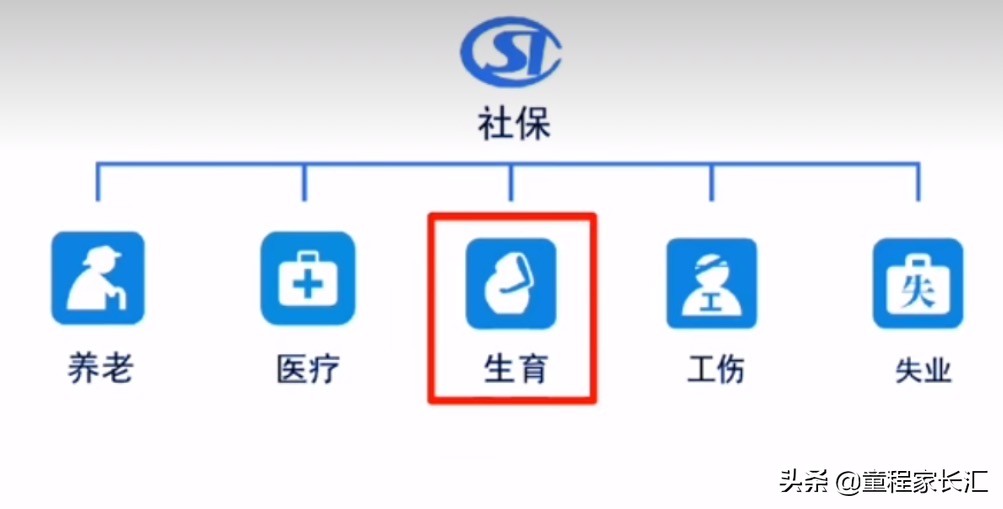 生育保险小知识（最后附流程图） 第1张