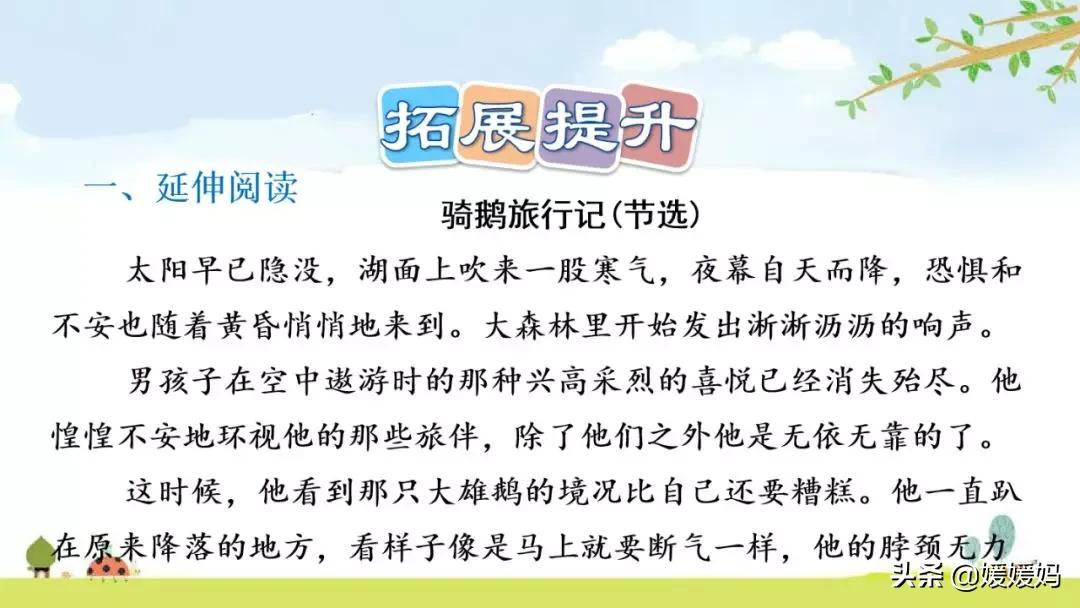 六年级下册语文第6课《骑鹅旅行记(节选)》图文详解及同步练习