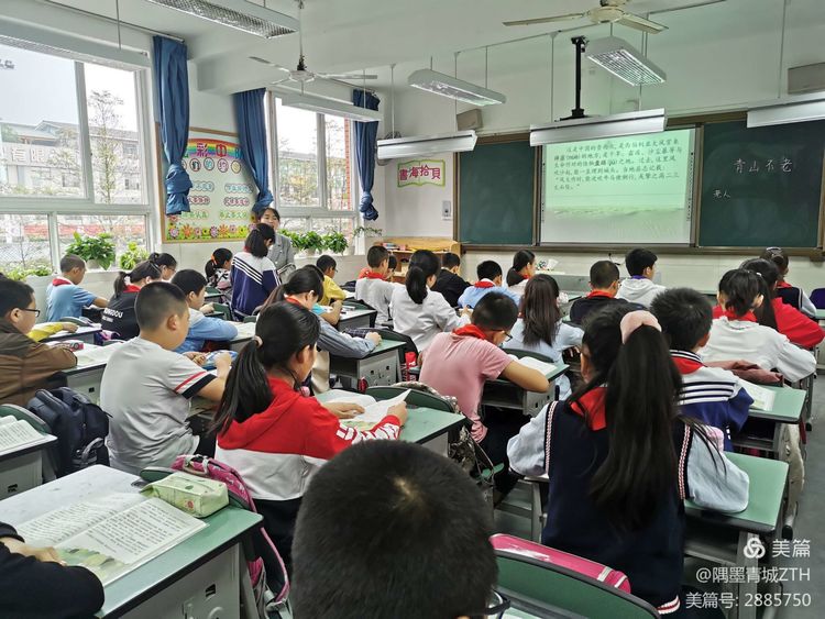 记四川大学西航港实验小学张庭华老师参加六年级语文区教研活动