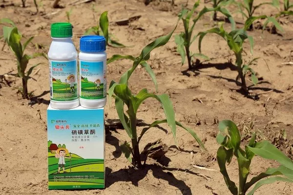 苗前没封住，苗后上绝招！杠杠滴