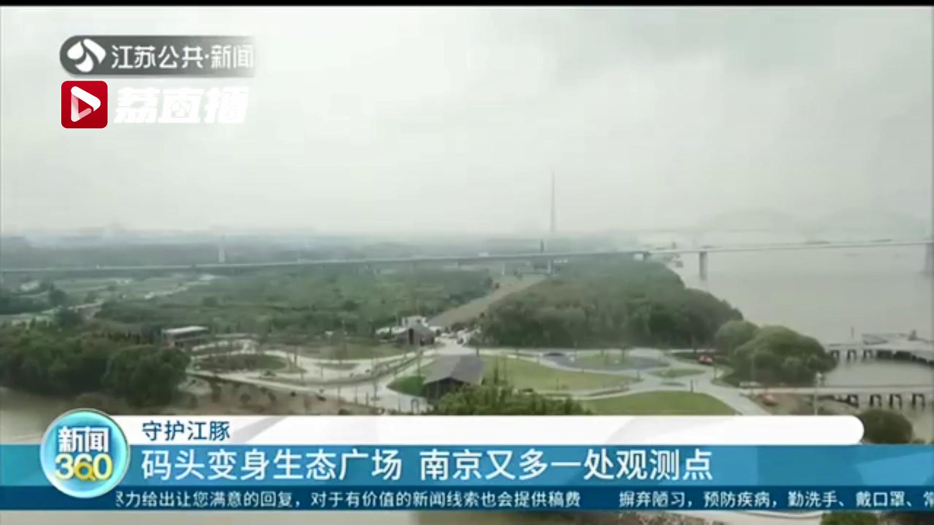 码头变身生态广场！这里位置绝佳 南京又多一处江豚观测点
