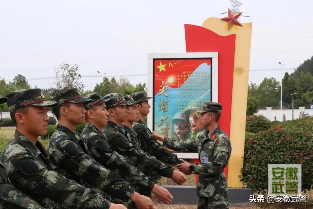 除了长得好看的，这些“专业的”也上交国家了！