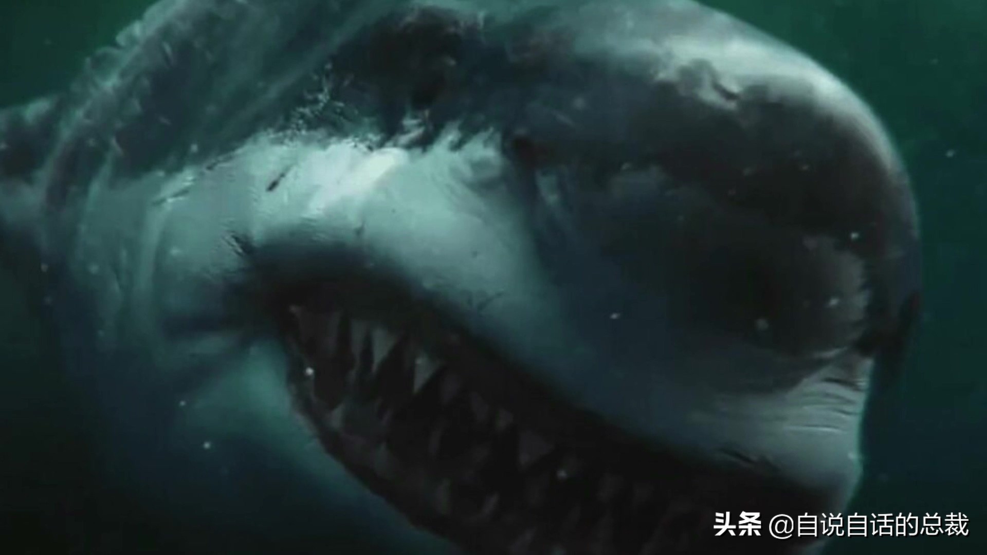 5种比巨齿鲨还恐怖的海怪 背后隐藏着一个人类起源的故事 资讯咖