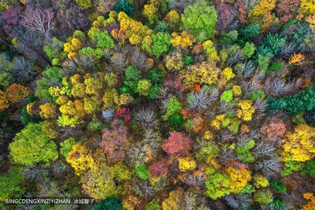 Xuexiang Tianlu, walking through the poetry of autumn leaves dancing with the first snow