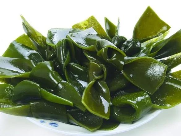 海帶和紫菜哪個好? 營養差別大,建議弄清楚了再吃