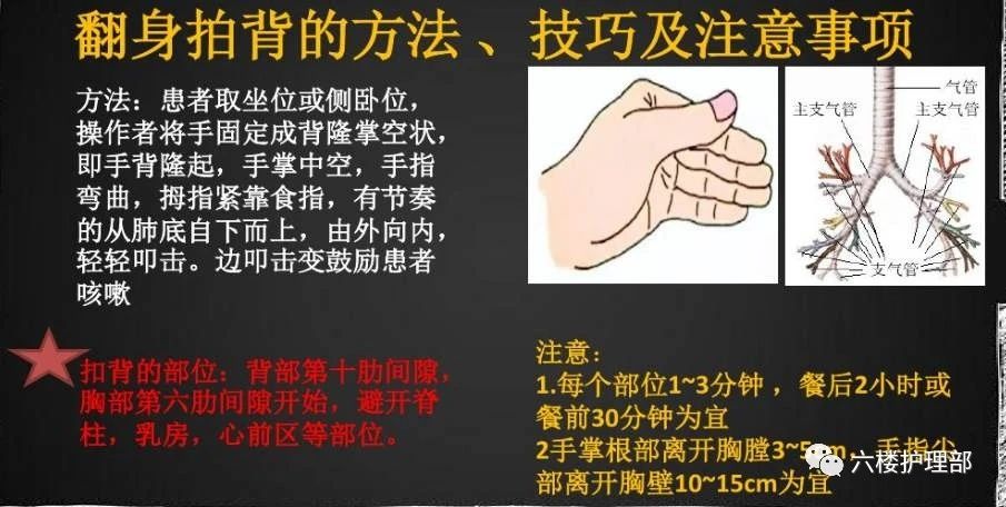 拍背的6大禁忌，正確拍背要這樣拍才行！ - 頭條匯