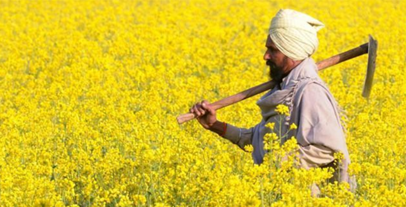 为何西方对中国和印度完全是两个态度？西方早