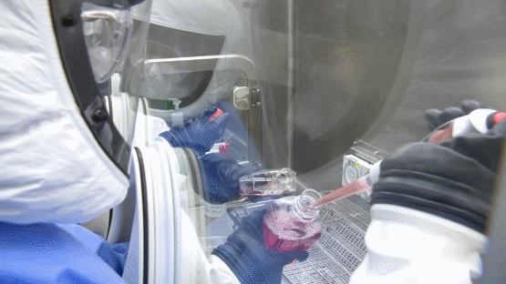 重大突破！今天，新冠最大克星终于来了