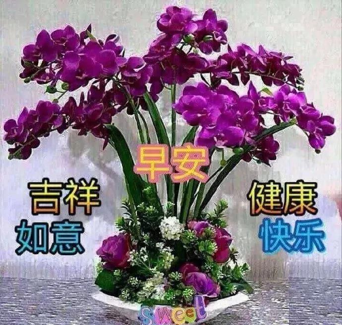 早上好问候祝福图片带字，最美清晨早安动态表情图片图片