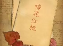 第一部谍战剧堪称佳作,后两部尚未播出,敬请留意