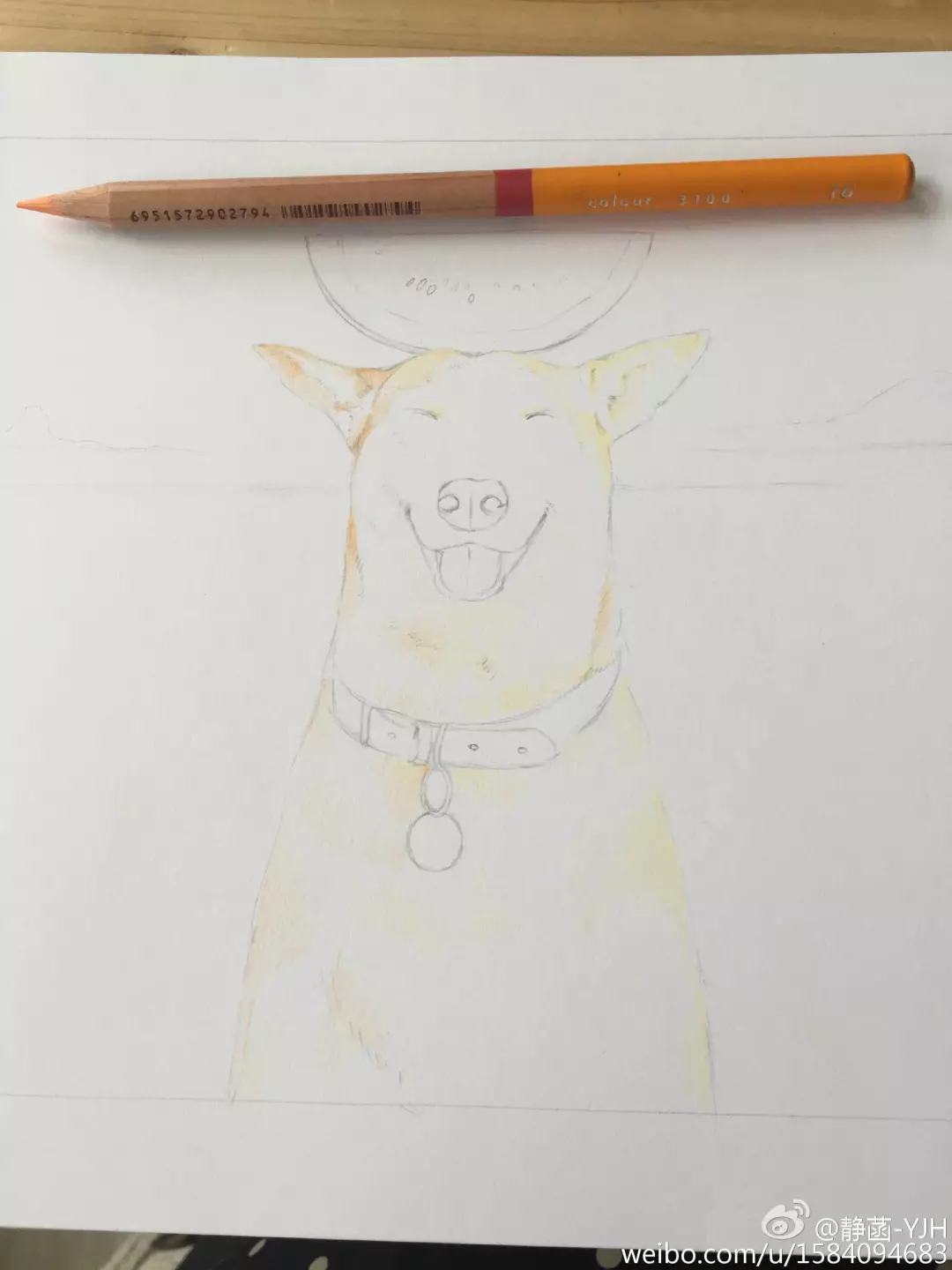 彩鉛動物入門教程｜可愛逗B狗(馬可帶色號)