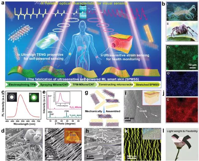 Bionic photoelectric smart skin, ultra-sensitive health monitoring and ...
