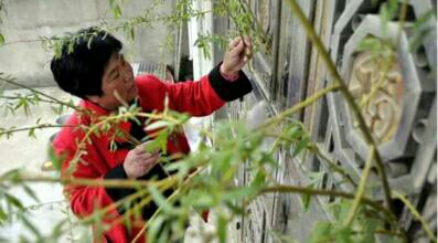 清明为什么要插柳？古代有什么寓意？一口气搞