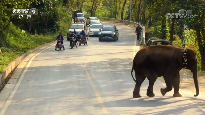 《航拍中国》第三季-《一同飞越》:再次启航！在